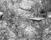 Davis' Property
