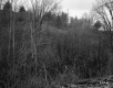 Farr's Property