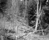 Farr's Property