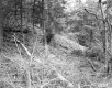 Farr's Property
