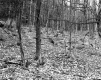 Farr's Property