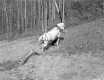 Carrying Fencing for the National Fence Co.