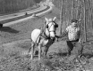 Carrying Fencing for the National Fence Co.