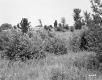 The Children's Home, Inc.