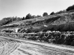 Clay Slope
