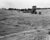 Wortheim's Property