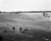 Wortheim's Property