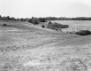 Wortheim's Property