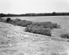 Wortheim's Property