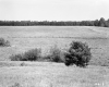Wortheim's Property
