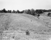 Wortheim's Property