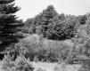 Wortheim's Property
