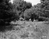 Wortheim's Property