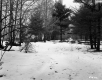 Winter Landscape