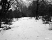 Winter Landscape