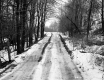 Winter Landscape
