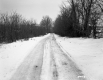Winter Landscape