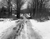 Winter Landscape