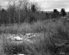 Bessette's Property