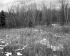 Bessette's Property