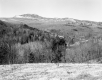 Wayside Rest Area Site