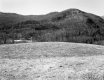 Wayside Rest Area Site
