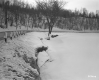 The Welch's Property