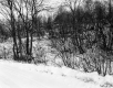 The Welch's Property