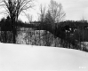 The Welch's Property