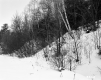 The Welch's Property