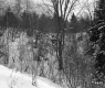 The Welch's Property