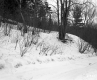The Welch's Property