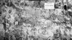 Aerial Mosaic of Berlin-Barre