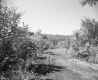 Dirt Road