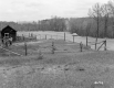 Forest at I-89 Construction Site between Williston and Colchester, Looking Northeast