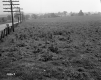 Farm Fields near Derby, Looking Northeast