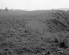 Farm Fields near Derby, Looking East