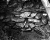 Stone Well