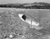Drainage Culvert