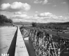 Construction of West River Bridge