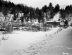 Forested Hills in the Snow