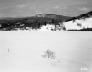Snow Covered Meadow