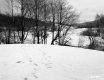 Farmstead in the Snow