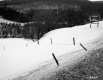Forested Hills in the Snow