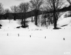Snow Covered Meadow