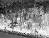 Forested Hills in the Snow