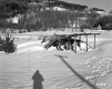 Collapsed Barn