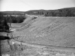 Tree Planting on I-91 in Guilford