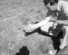 Tree Planting on I-91 in Guilford