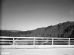 View from West River Bridge